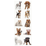 Dog Stickers - assorted 10's